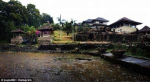 The five-star resort has been sitting unoccupied and crumbling for years in the central highlands of Bali