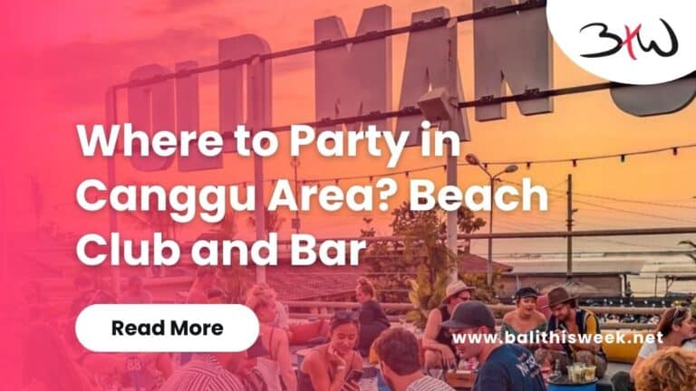 Where to Party in Canggu