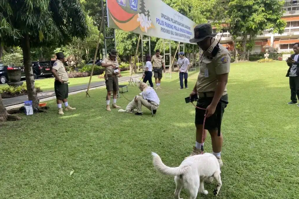 Bali's New Tourist Police: Now With Friendly Dogs, Ensuring Safe and Pleasant Travels