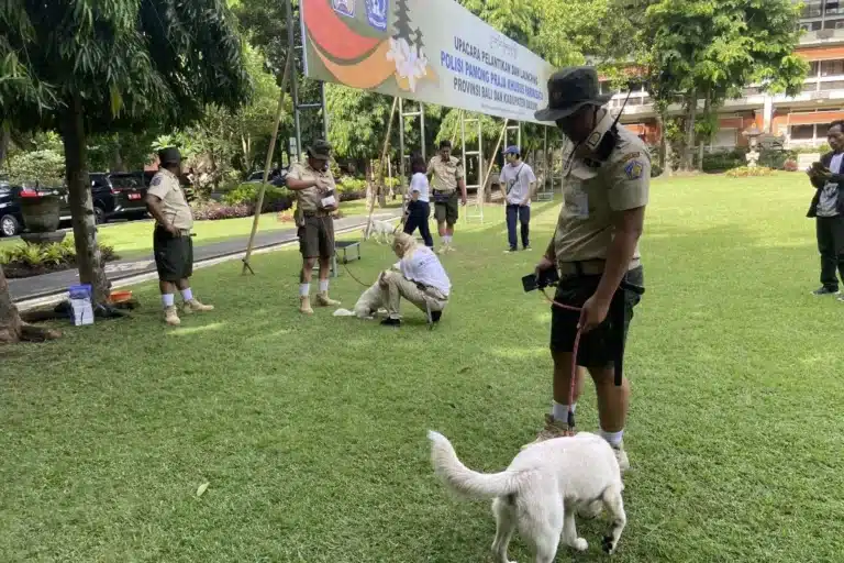 bali-satpol-pp-with-dogs